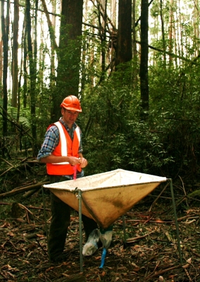 Native Forest Silviculture
